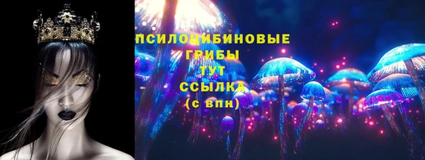 PSILOCYBIN Елабуга