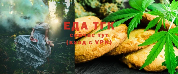 шишки Ельня